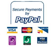 Secure payment for assignment by paypal